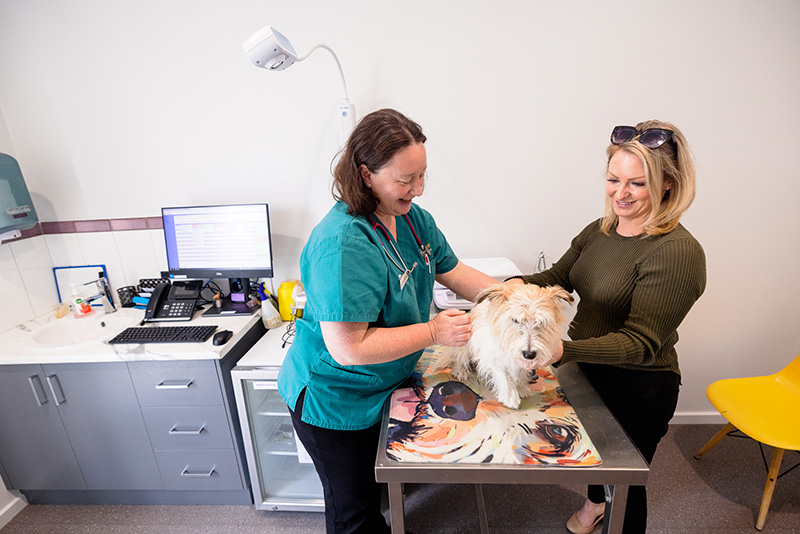 Myvet Clinic