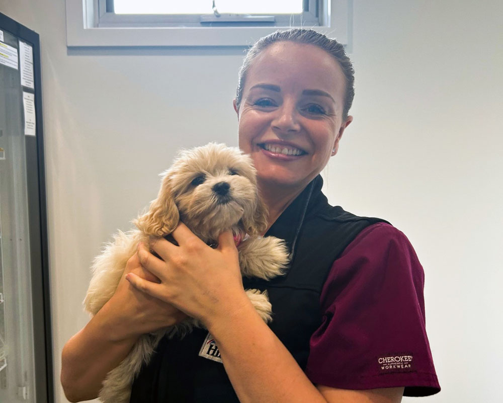 Puppy vaccinations bendigo