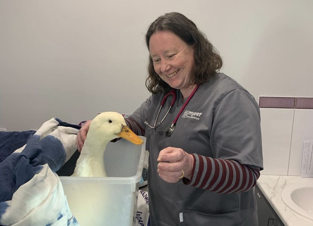 Bird vet Bendigo