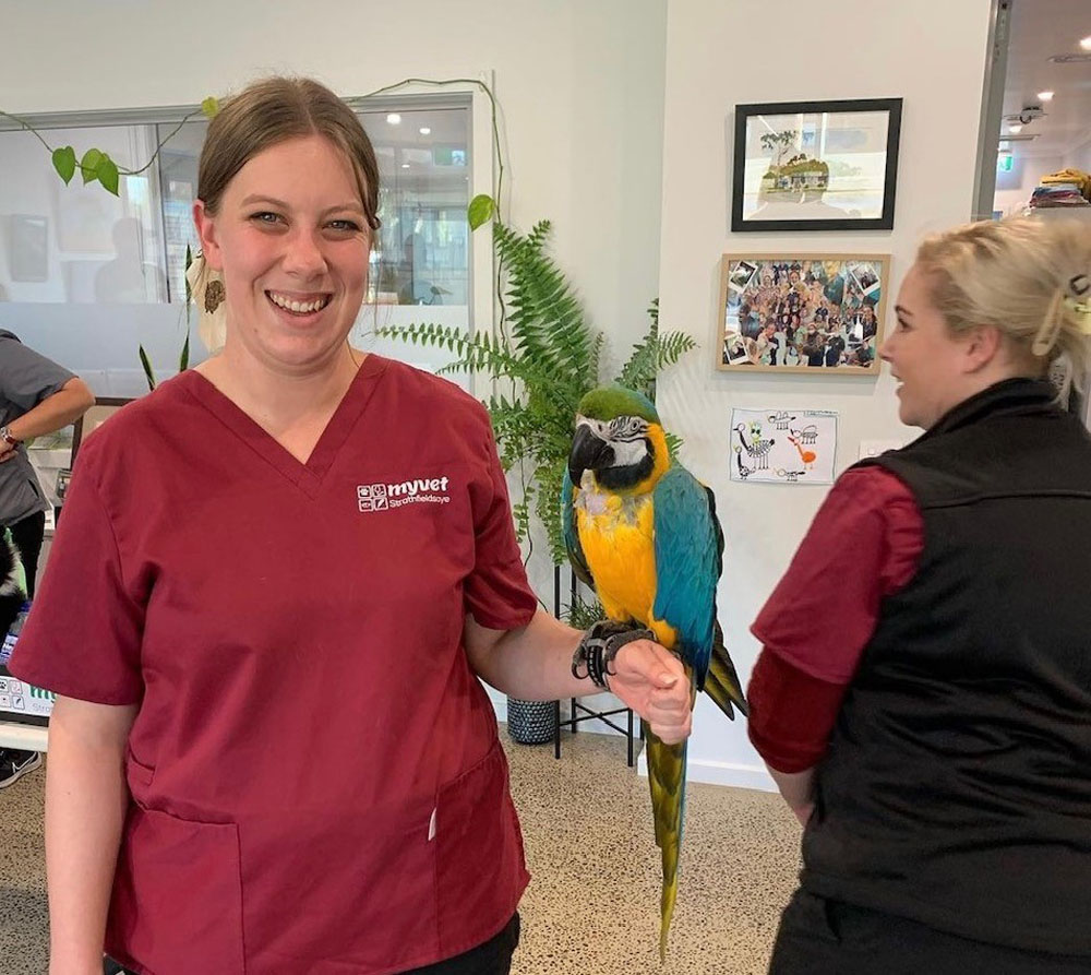 Bird care Myvet Strathfieldsaye bendigo