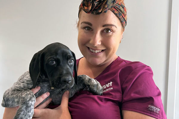 Puppy Vaccinations Bendigo